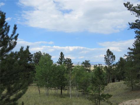 9389 Ranch Road Hartsel CO 80449