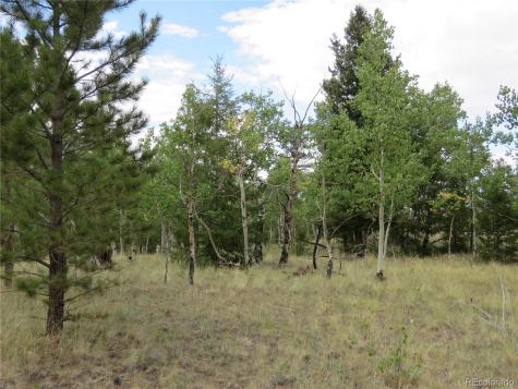 9389 Ranch Road Hartsel CO 80449