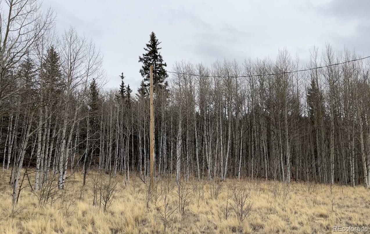 688 Ouray Trail Como CO 80432