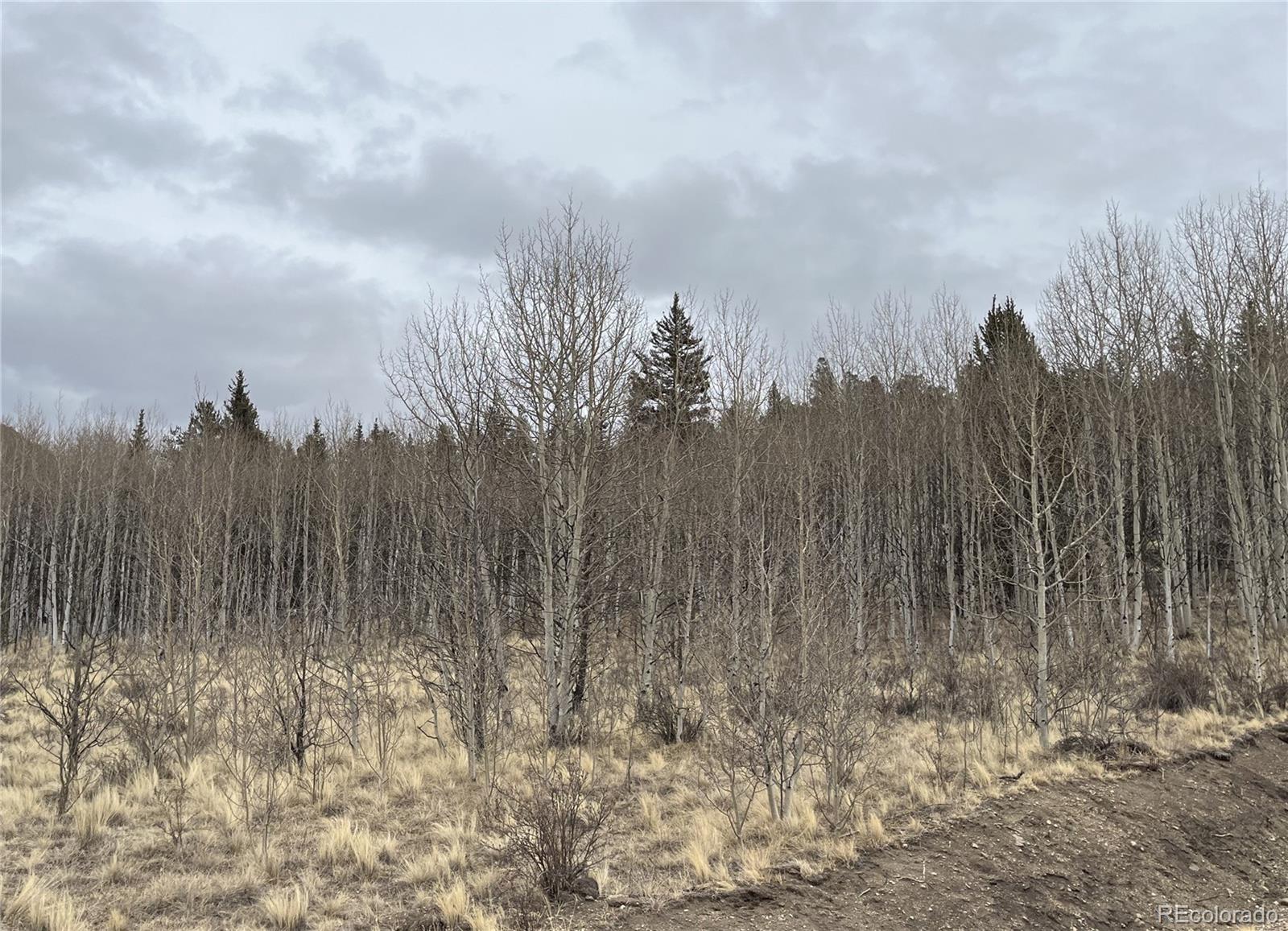 688 Ouray Trail Como CO 80432