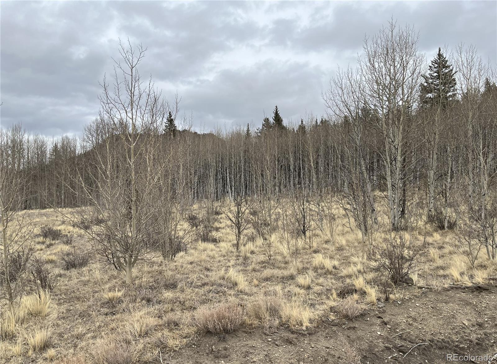 688 Ouray Trail Como CO 80432