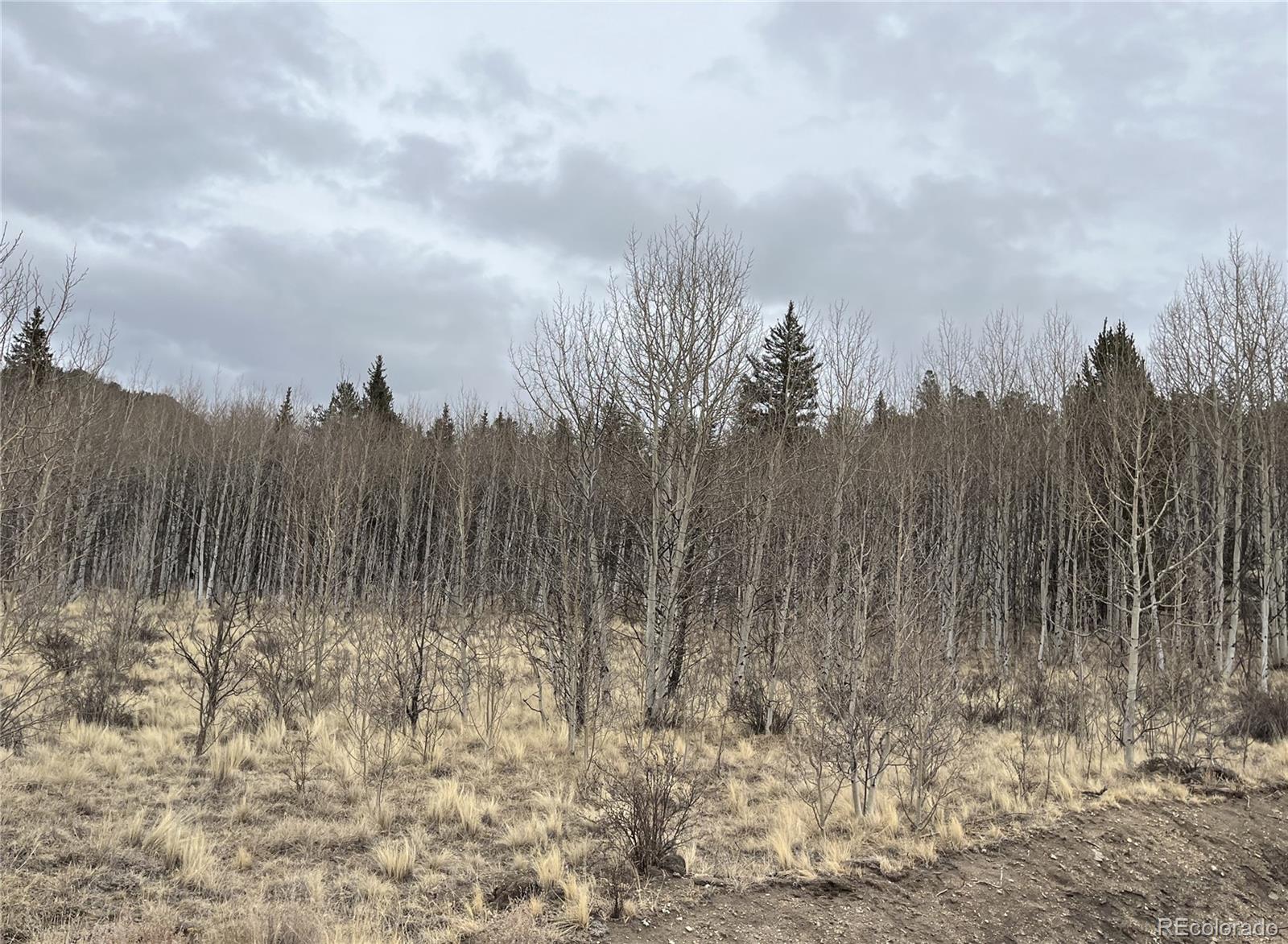 688 Ouray Trail Como CO 80432