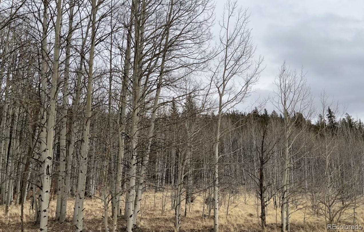688 Ouray Trail Como CO 80432