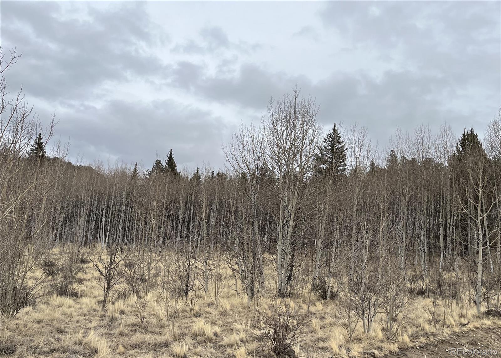 688 Ouray Trail Como CO 80432