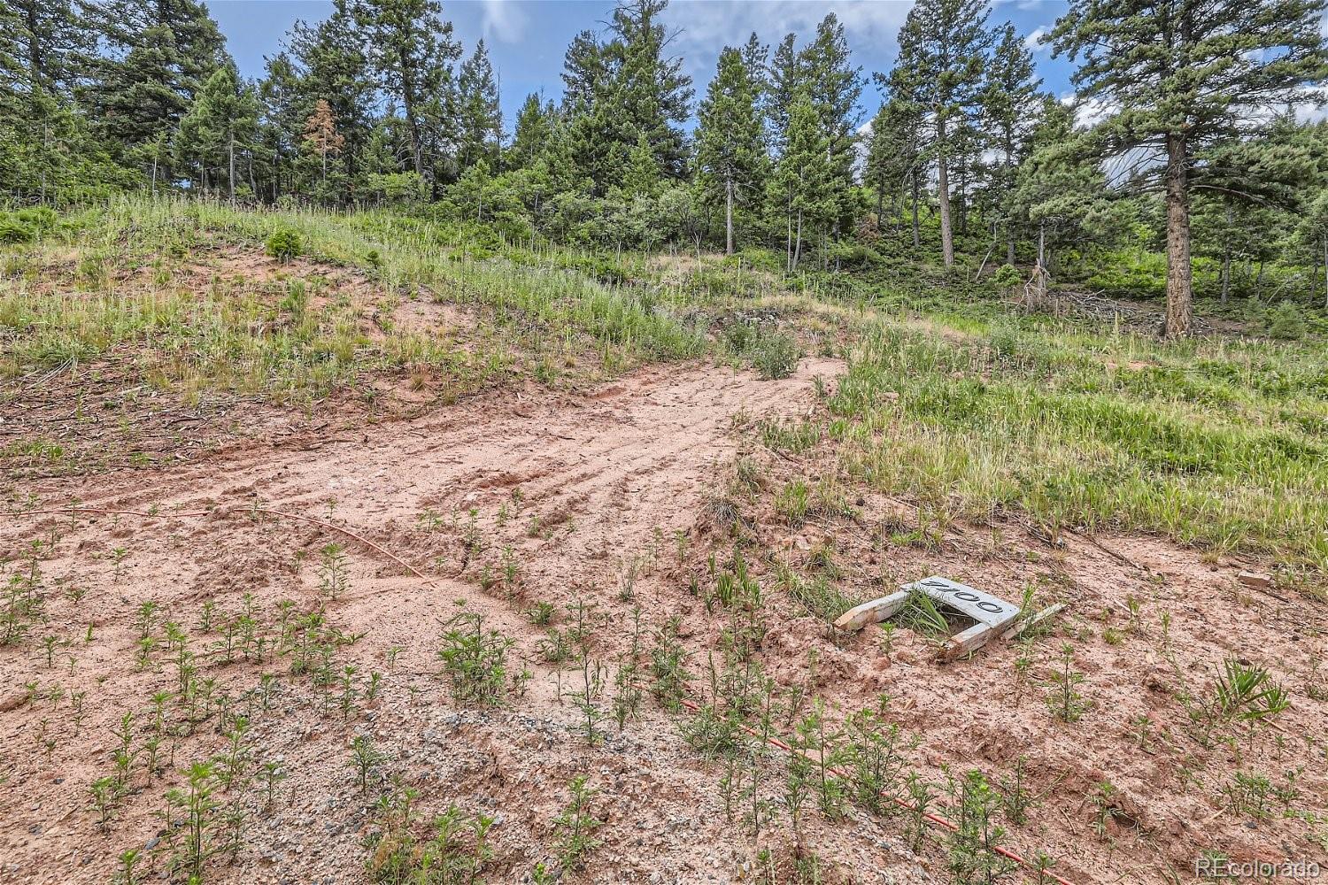 7100 Fox Circle Larkspur CO 80118