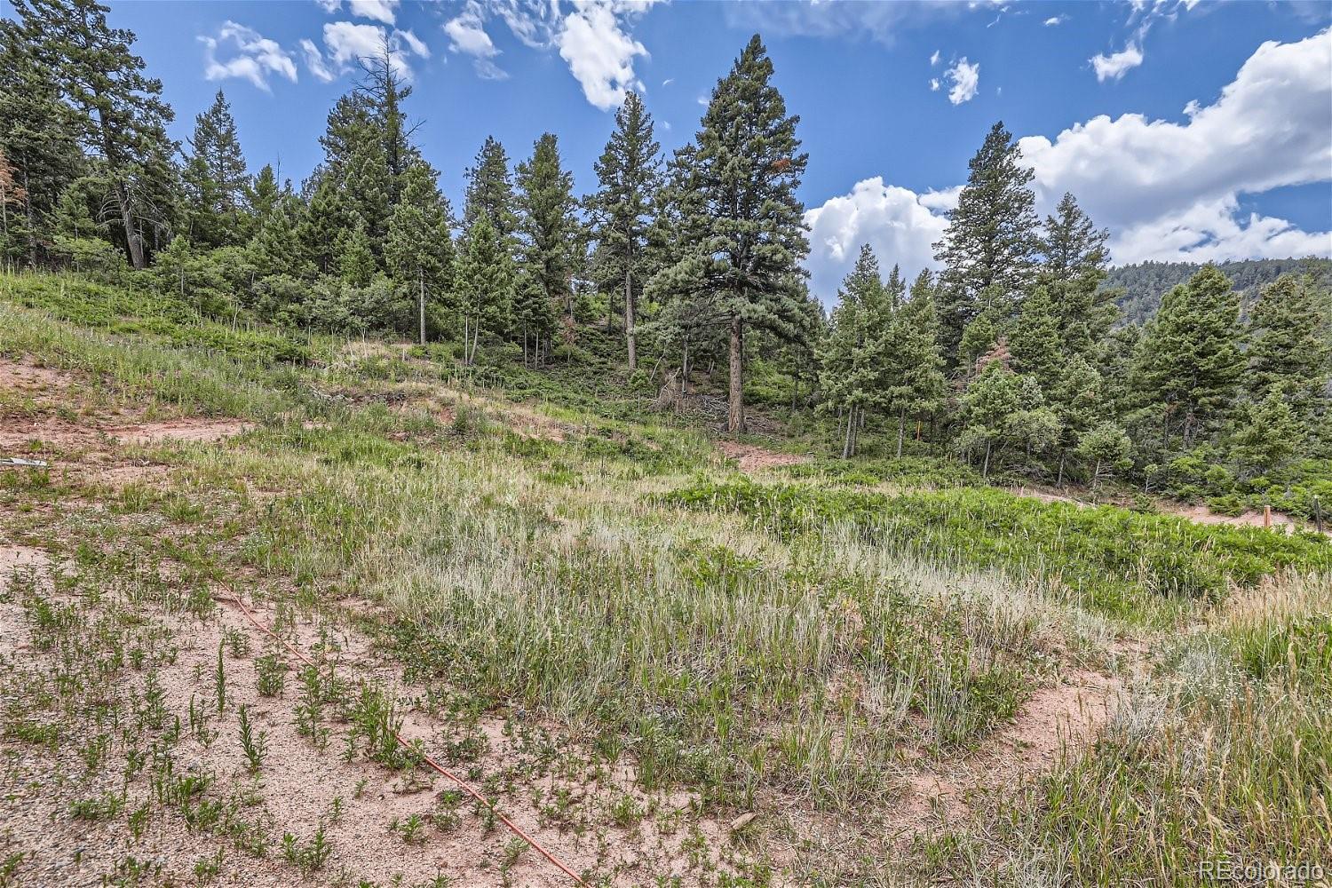 7100 Fox Circle Larkspur CO 80118