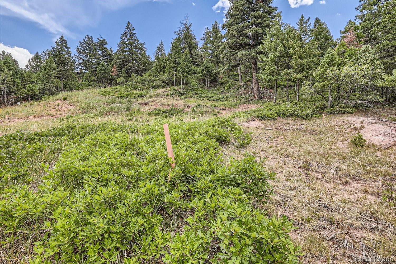 7100 Fox Circle Larkspur CO 80118