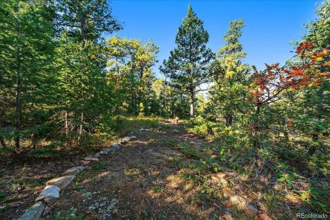 000 Flat Top Trail Littleton CO 80127
