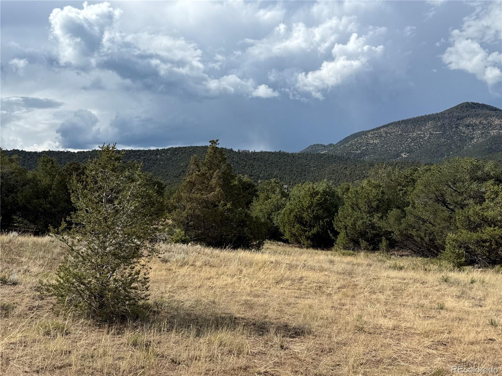729 Vail Pass Road South Fork CO 81154