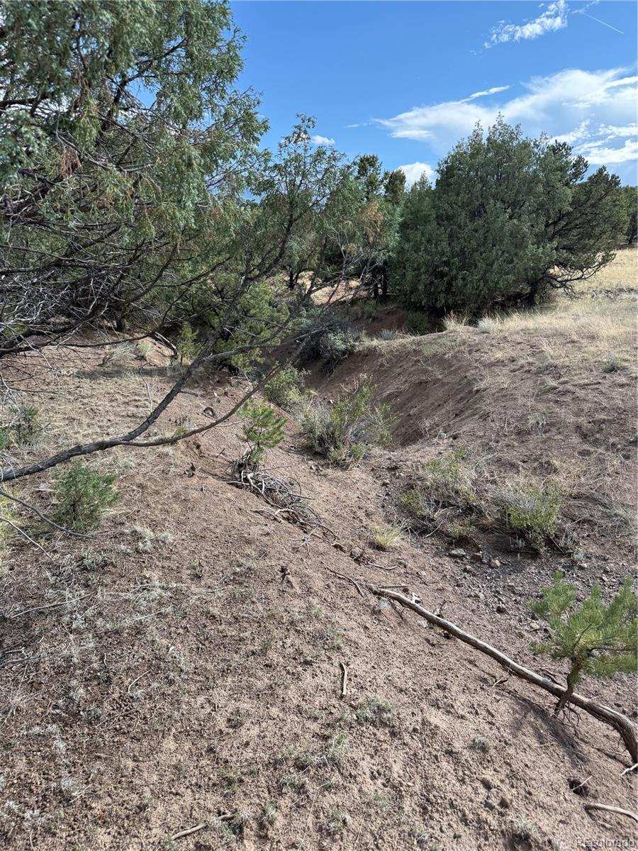 729 Vail Pass Road South Fork CO 81154