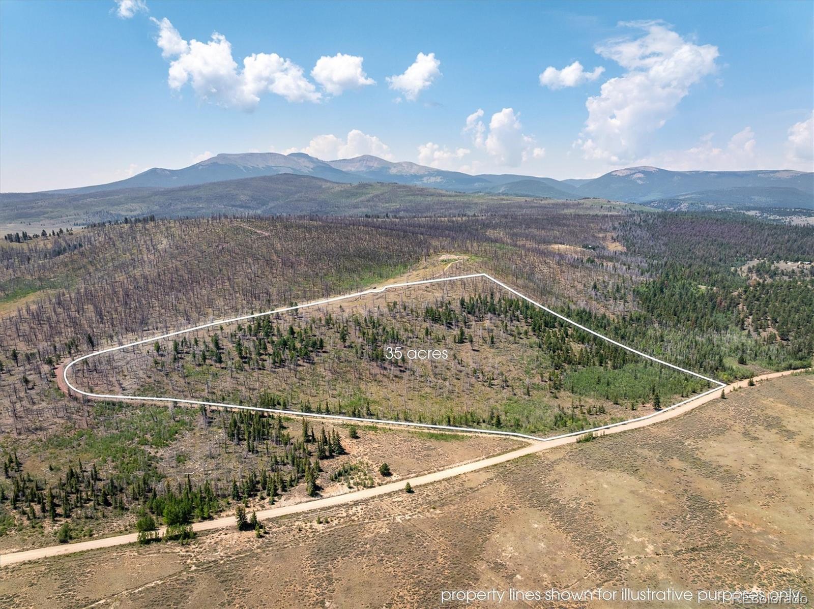 637 Lynch Creek Court Fairplay CO 80440
