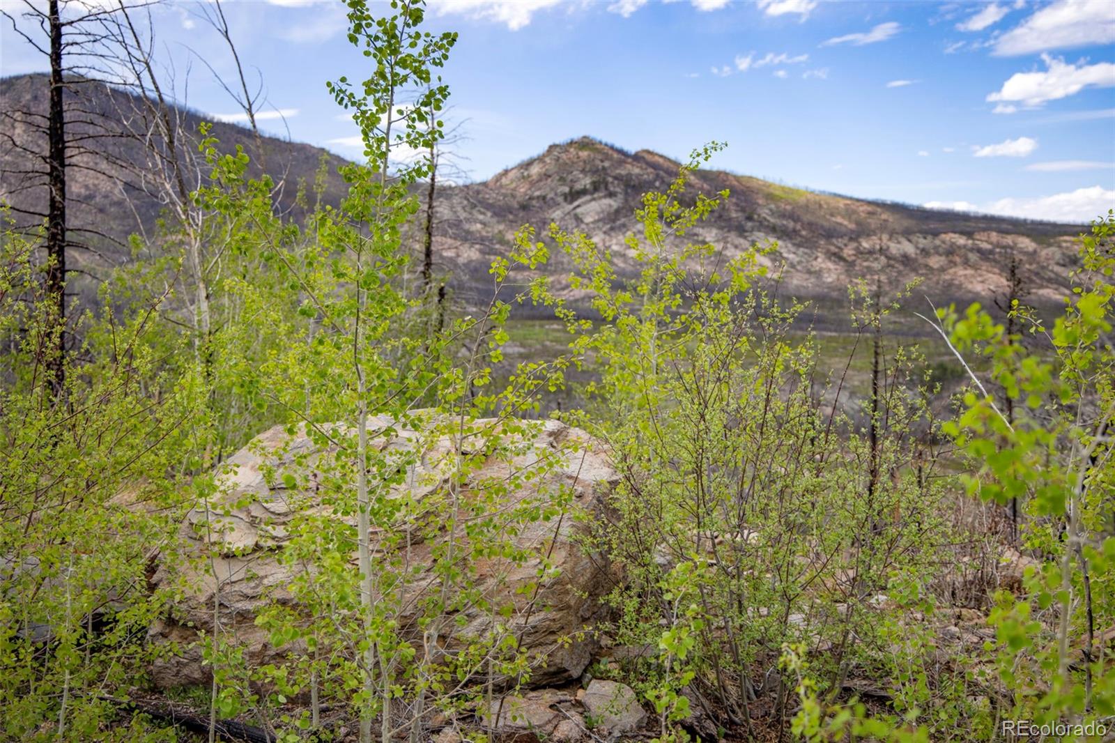 805 Meadows Drive Drake CO 80515