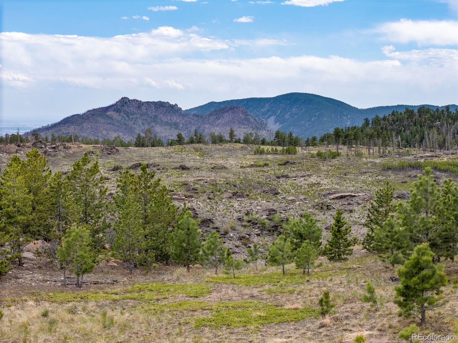 805 Meadows Drive Drake CO 80515