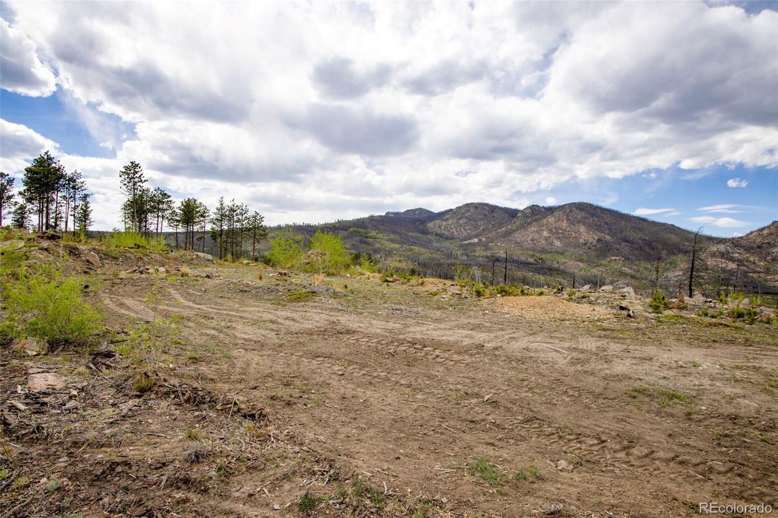 805 Meadows Drive Drake CO 80515