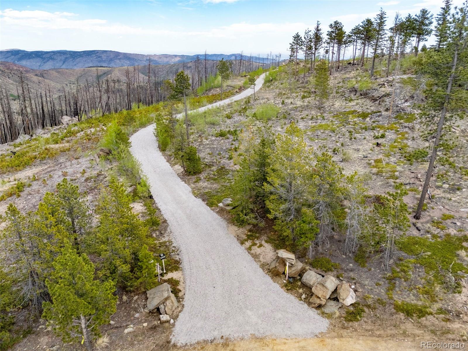805 Meadows Drive Drake CO 80515