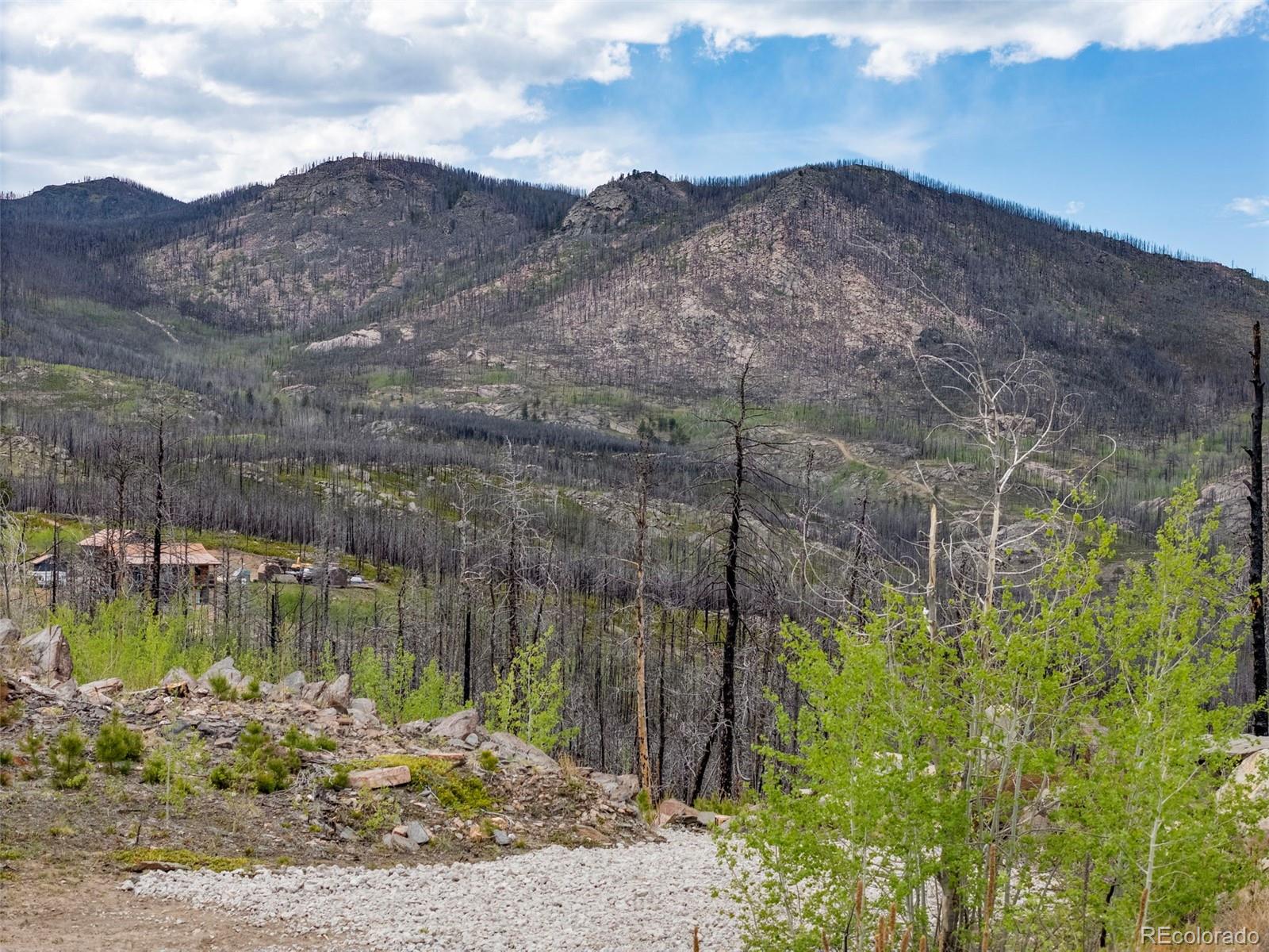 805 Meadows Drive Drake CO 80515