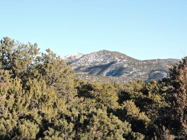 Lot 9 Cedar Avenue Blanca CO 81123