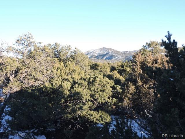 Lot 9 Cedar Avenue Blanca CO 81123