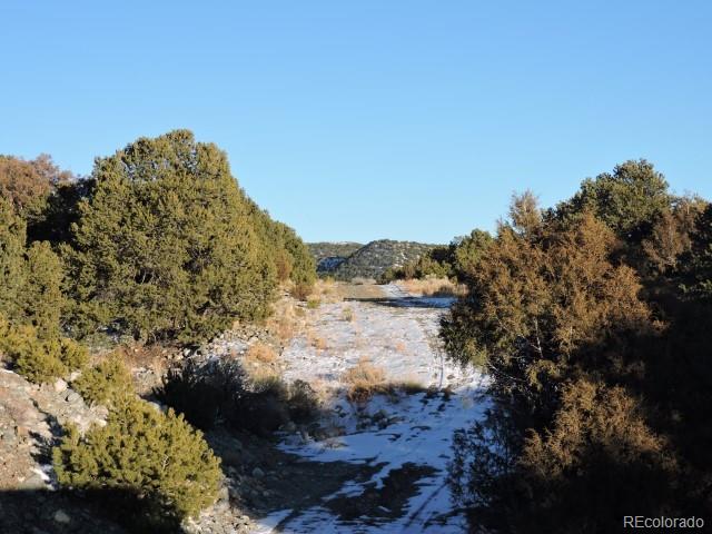 Lot 9 Cedar Avenue Blanca CO 81123