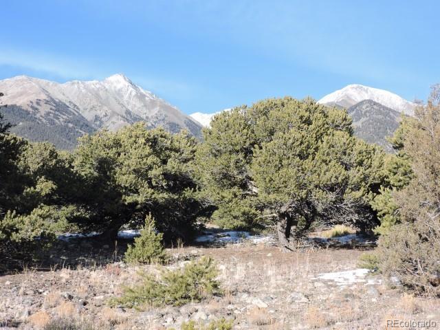 Lot 9 Cedar Avenue Blanca CO 81123