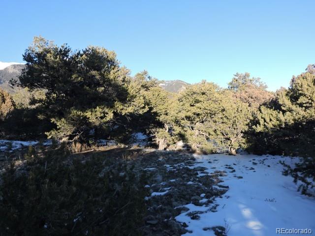 Lot 9 Cedar Avenue Blanca CO 81123