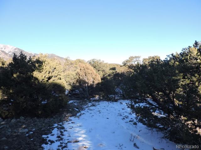 Lot 9 Cedar Avenue Blanca CO 81123