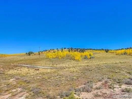 65 Veery Way Jefferson CO 80456