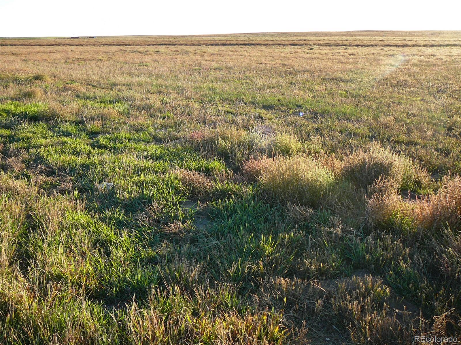 Tbd Highway 52 Wiggins CO 80654