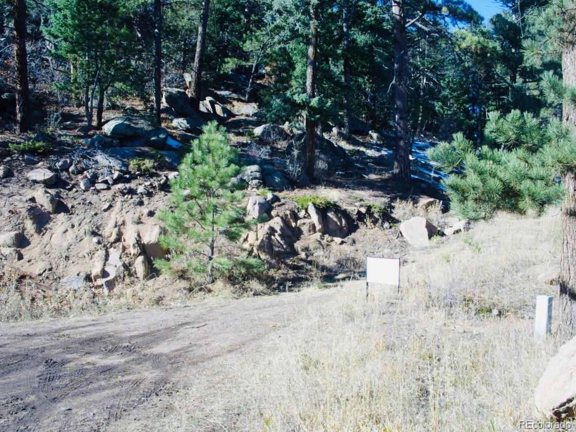 22076 High Springs Trail Morrison CO 80465