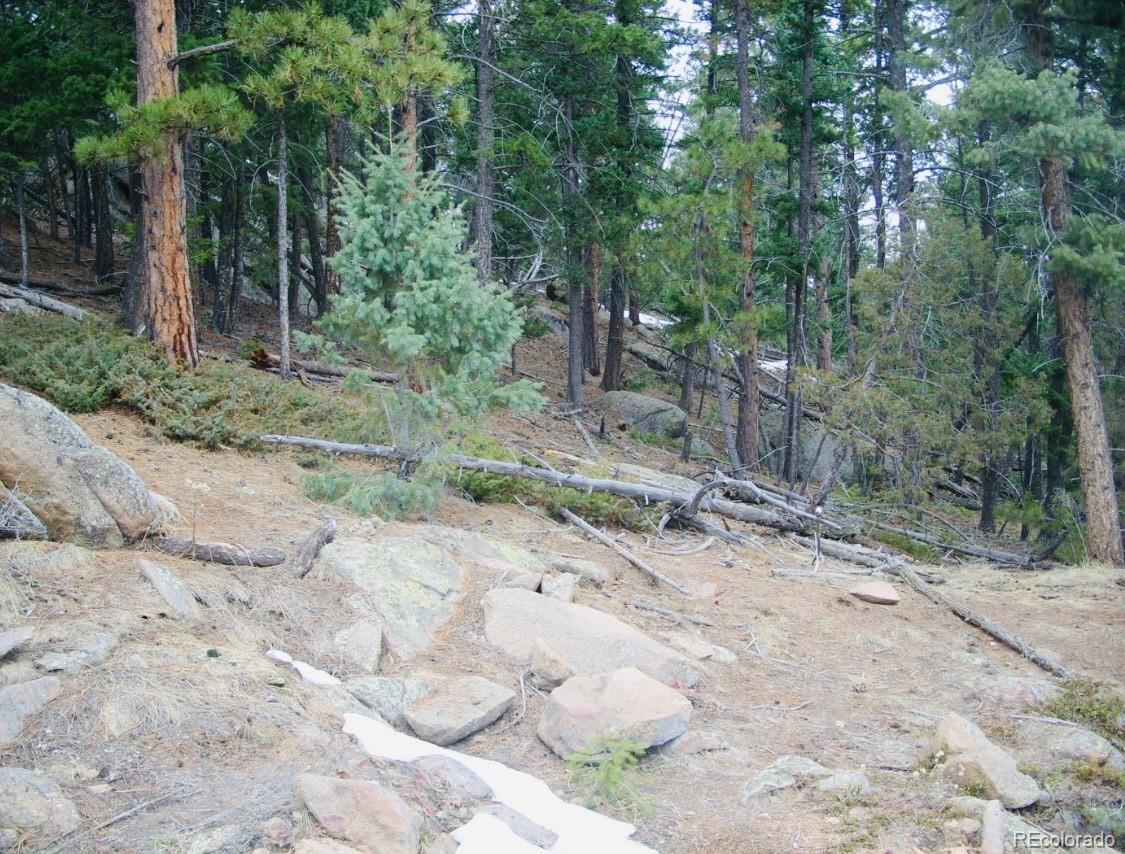 22076 High Springs Trail Morrison CO 80465