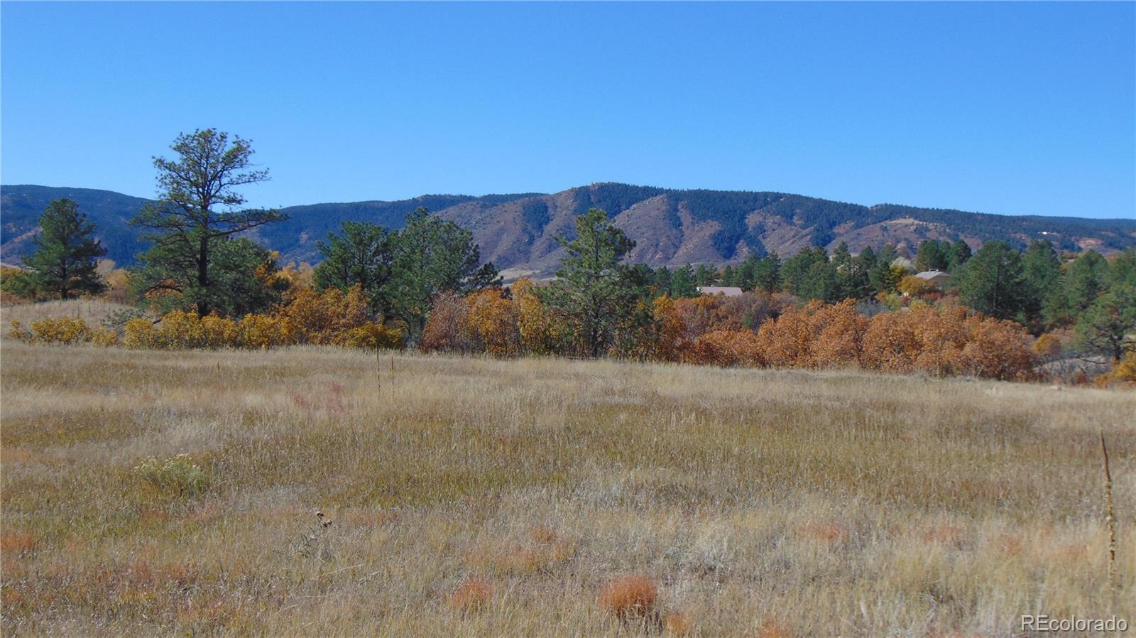 4771 Jackson Creek Road Sedalia CO 80135