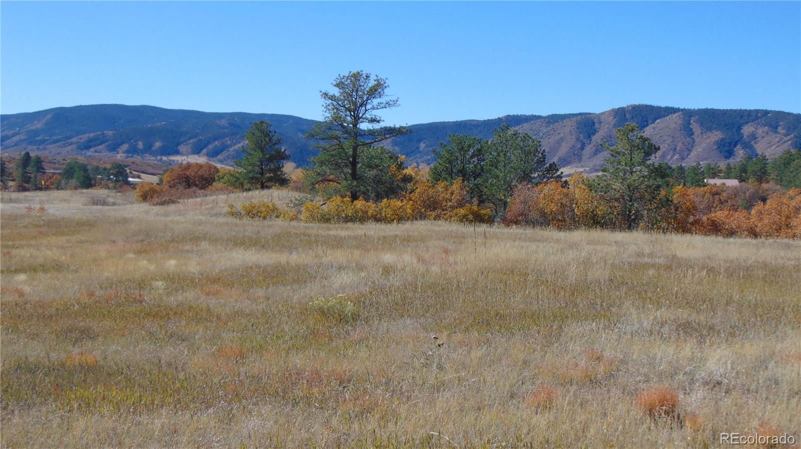 4771 Jackson Creek Road Sedalia CO 80135