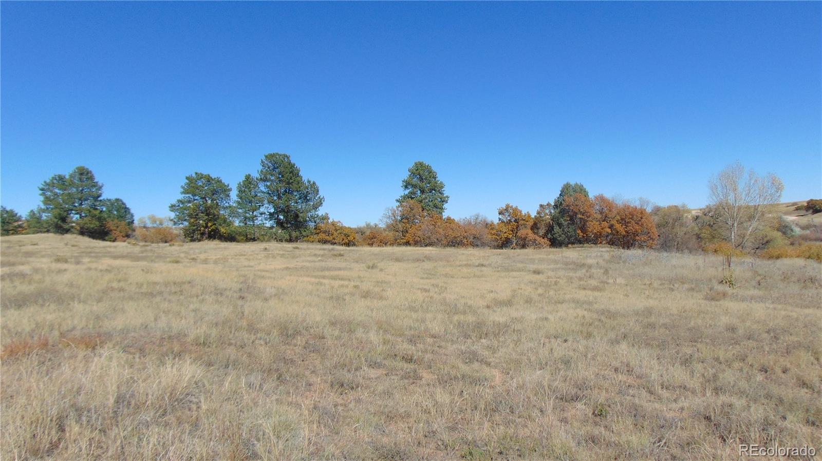 4771 Jackson Creek Road Sedalia CO 80135