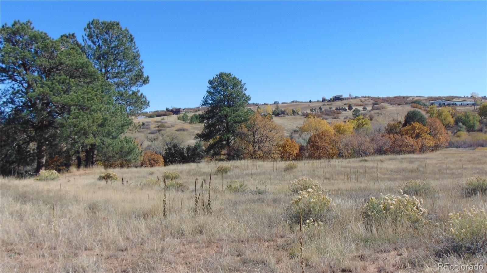 4771 Jackson Creek Road Sedalia CO 80135