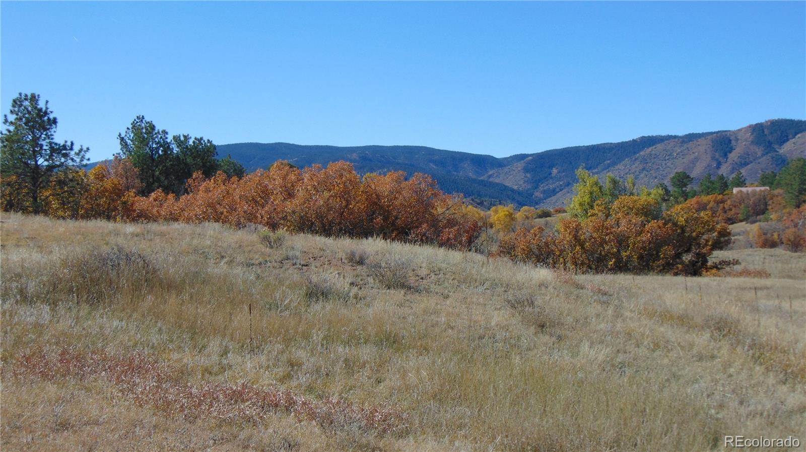 4771 Jackson Creek Road Sedalia CO 80135