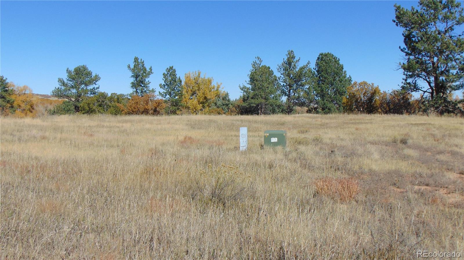 4771 Jackson Creek Road Sedalia CO 80135