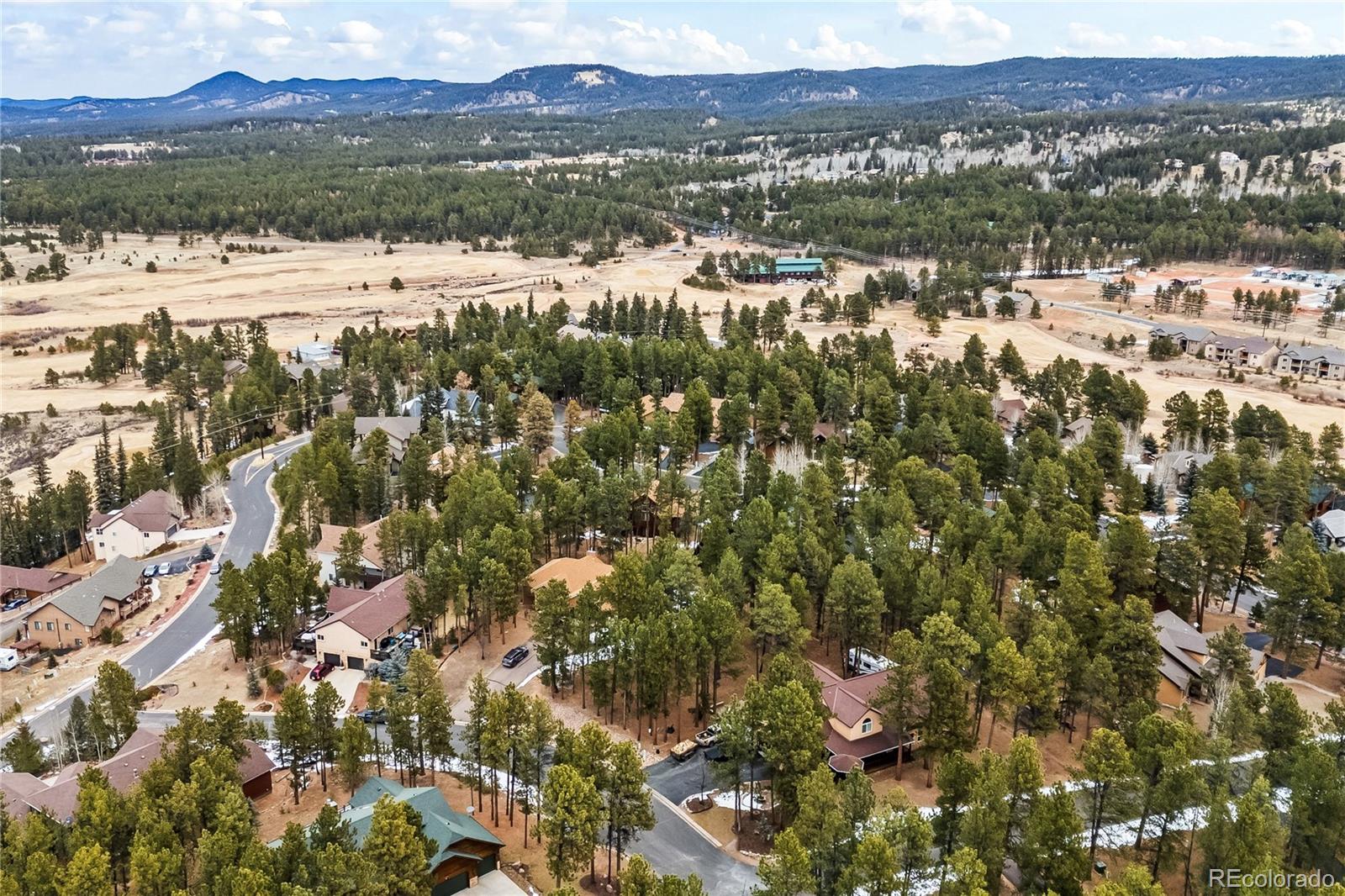 109 Flagstick Drive Woodland Park CO 80863