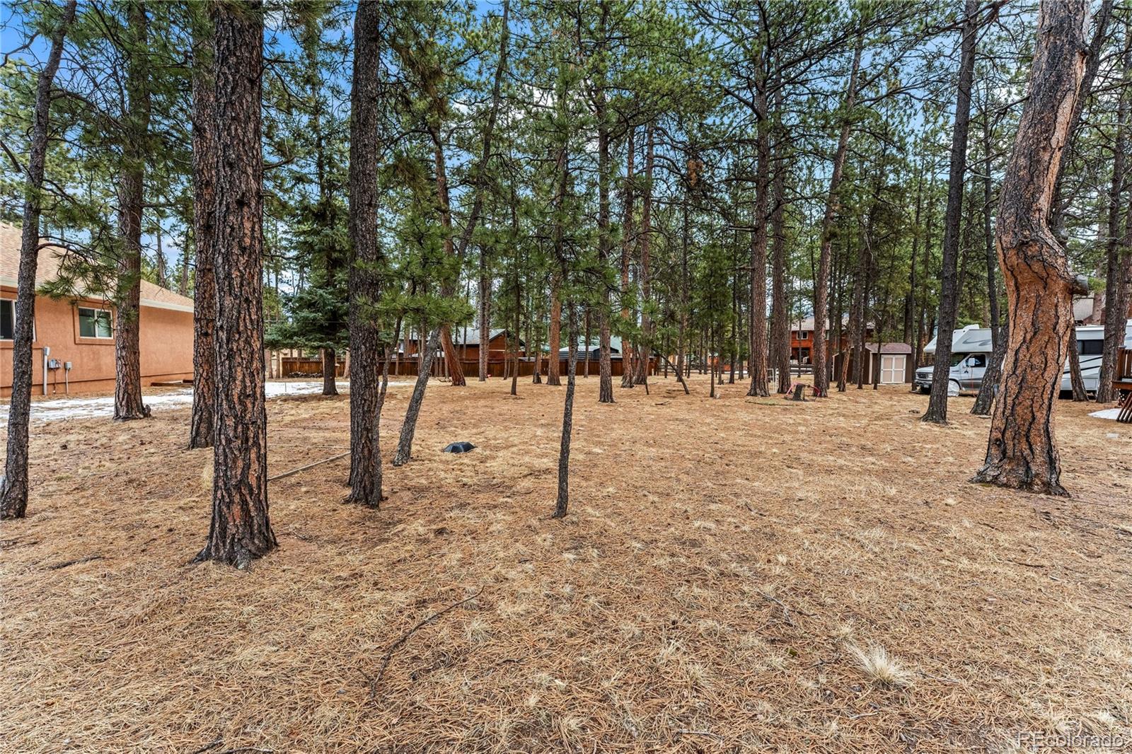 109 Flagstick Drive Woodland Park CO 80863