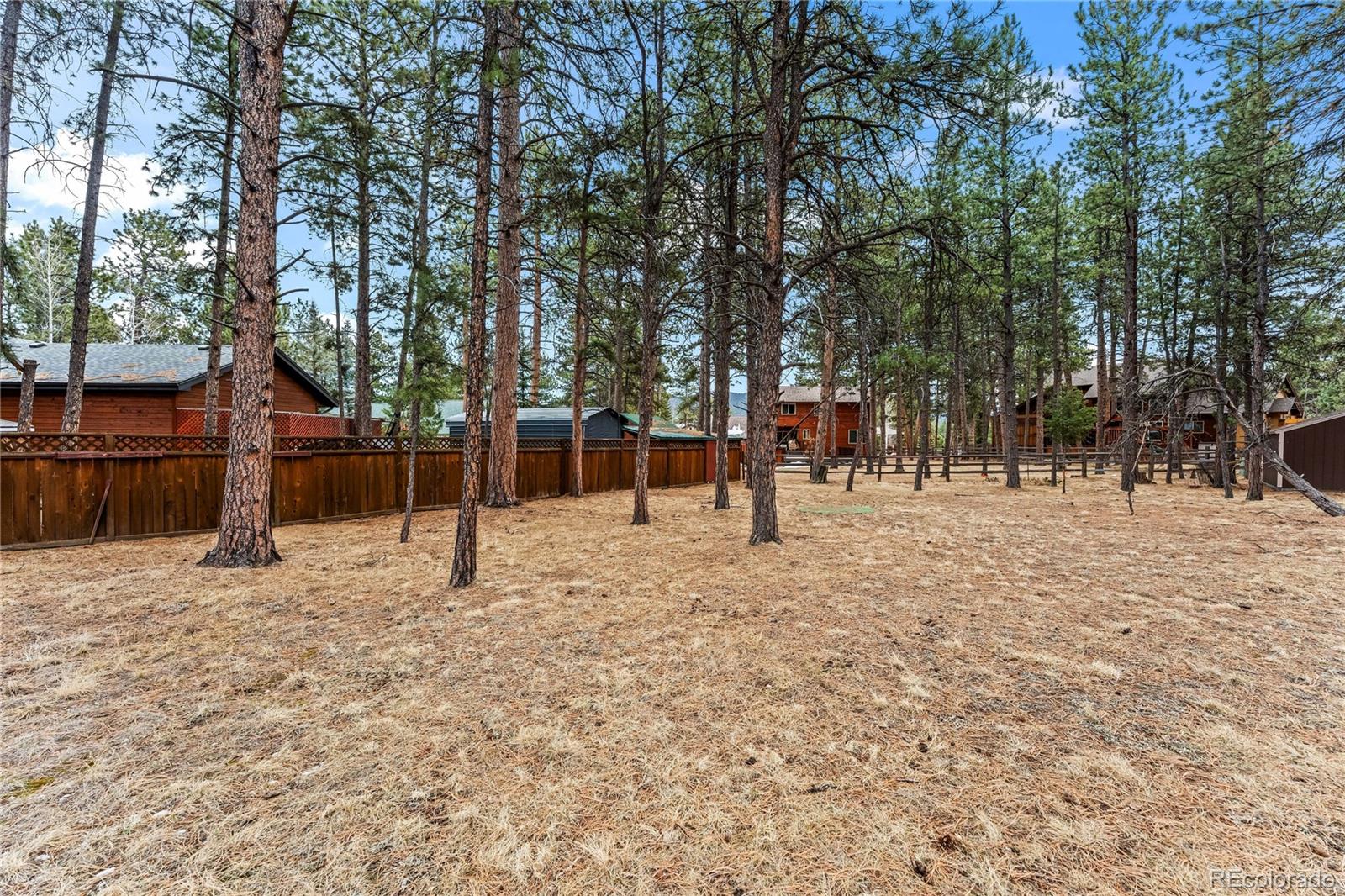 109 Flagstick Drive Woodland Park CO 80863