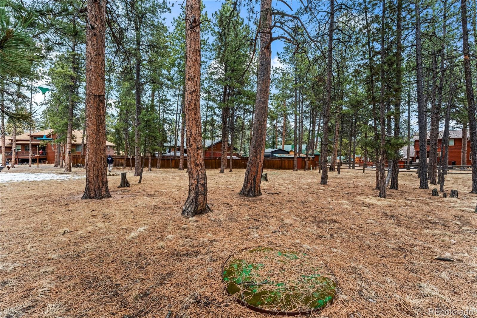 109 Flagstick Drive Woodland Park CO 80863
