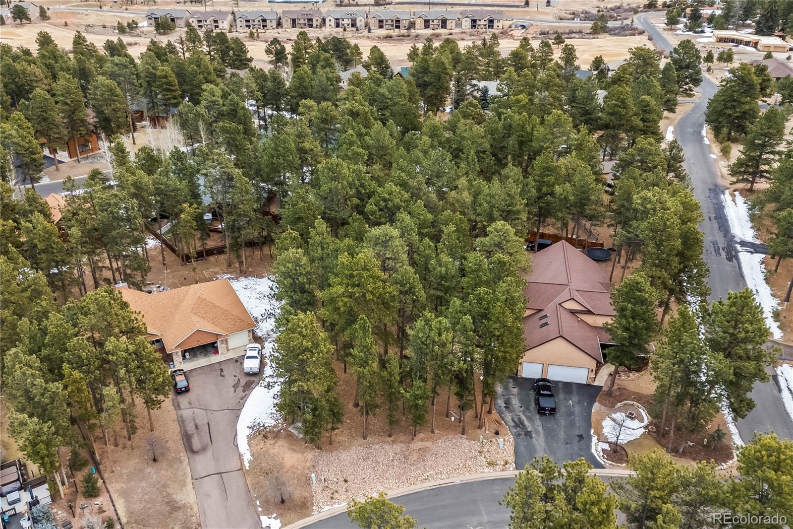109 Flagstick Drive Woodland Park CO 80863