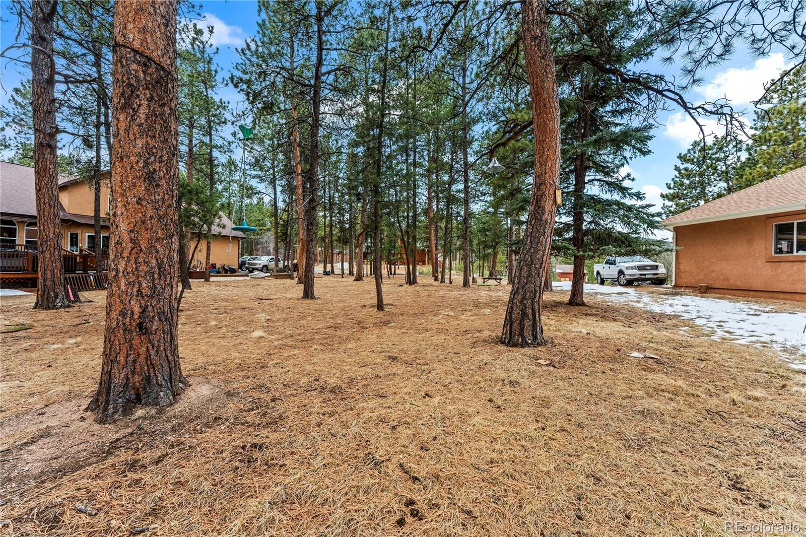 109 Flagstick Drive Woodland Park CO 80863