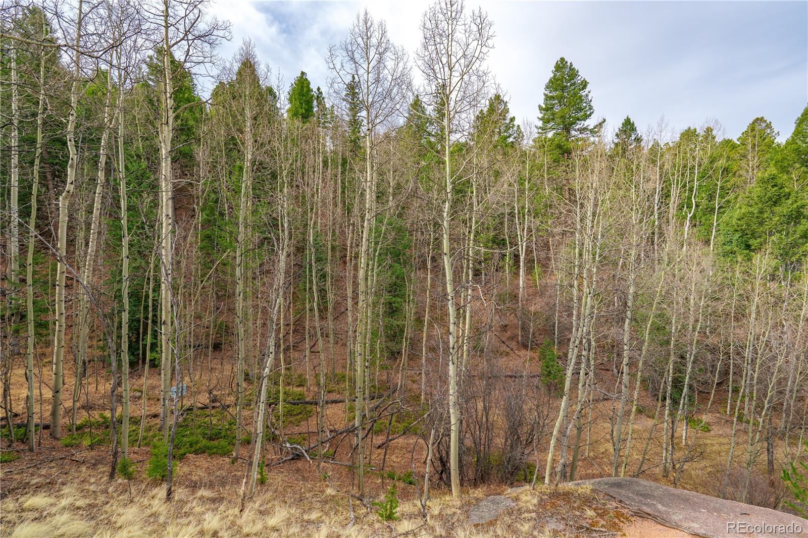 130 Grey Eagle Way Cripple Creek CO 80813