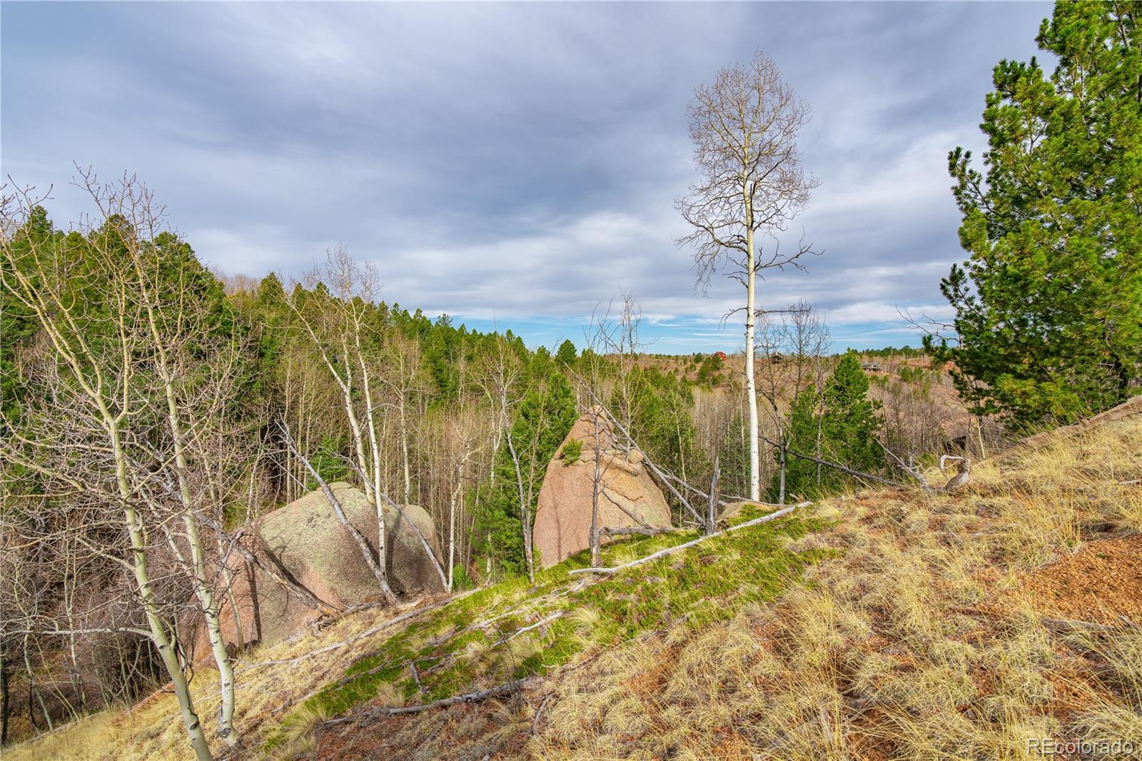 130 Grey Eagle Way Cripple Creek CO 80813