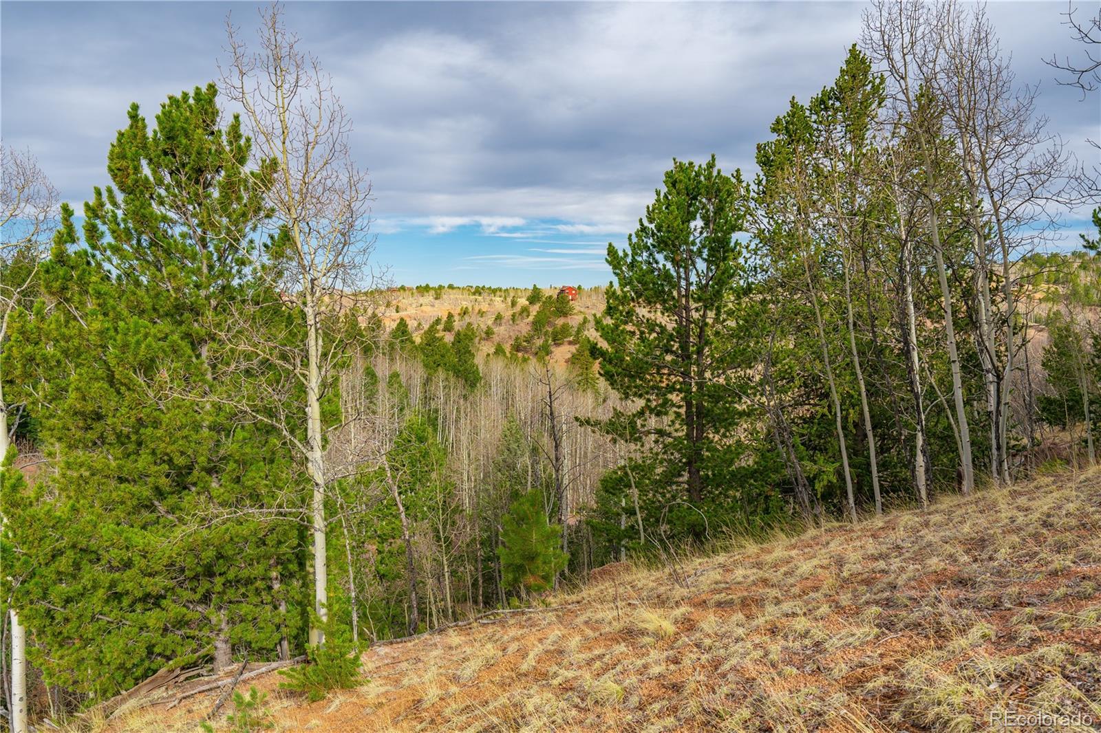 130 Grey Eagle Way Cripple Creek CO 80813