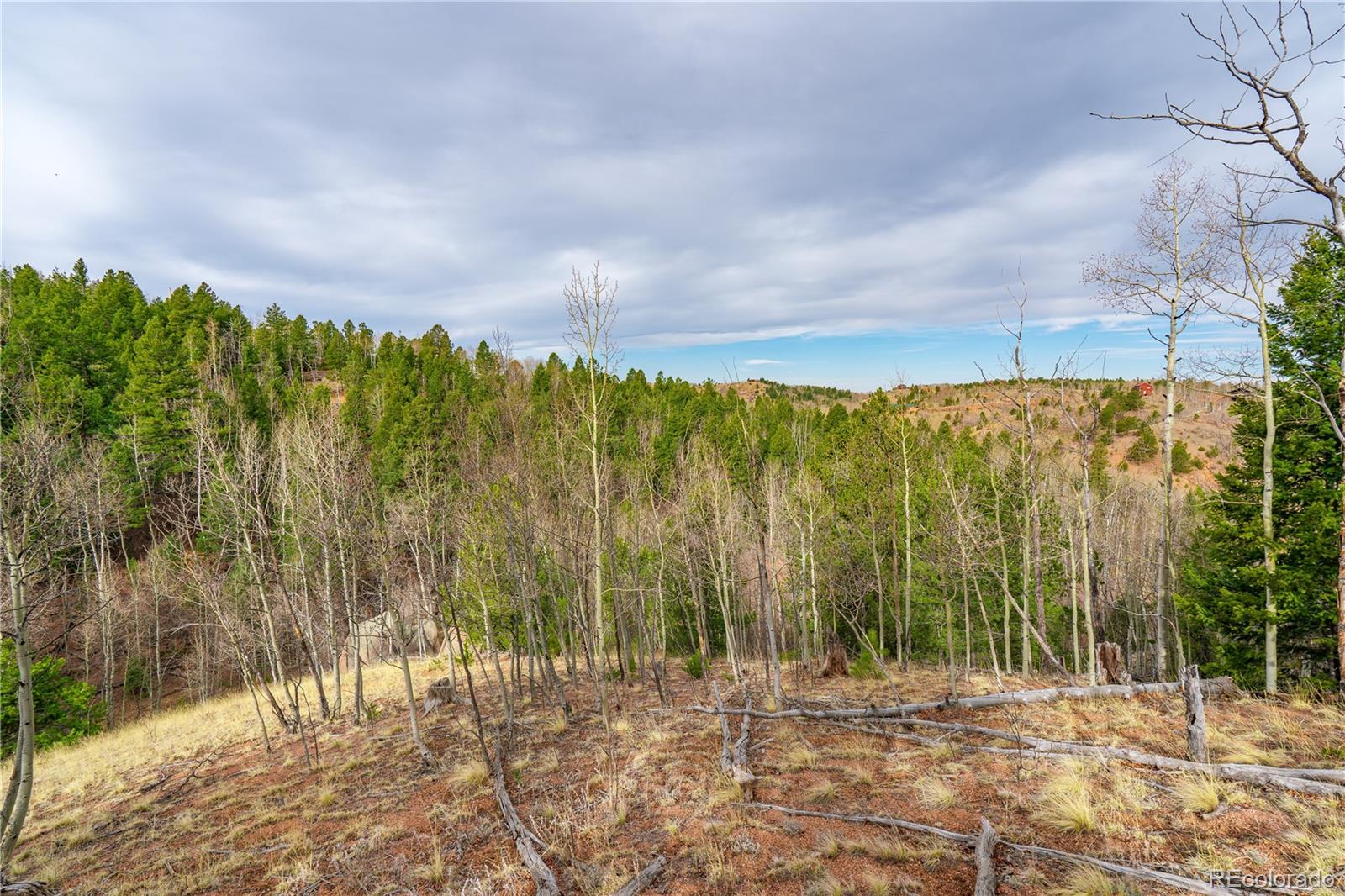 130 Grey Eagle Way Cripple Creek CO 80813