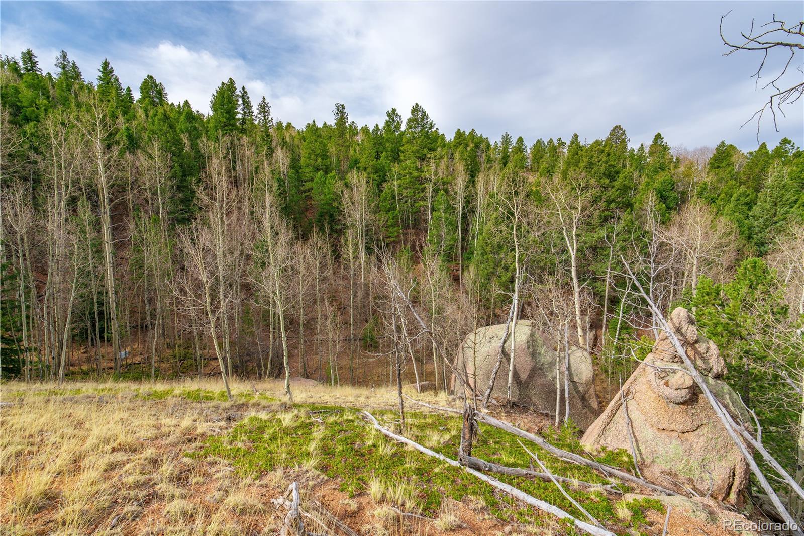 130 Grey Eagle Way Cripple Creek CO 80813