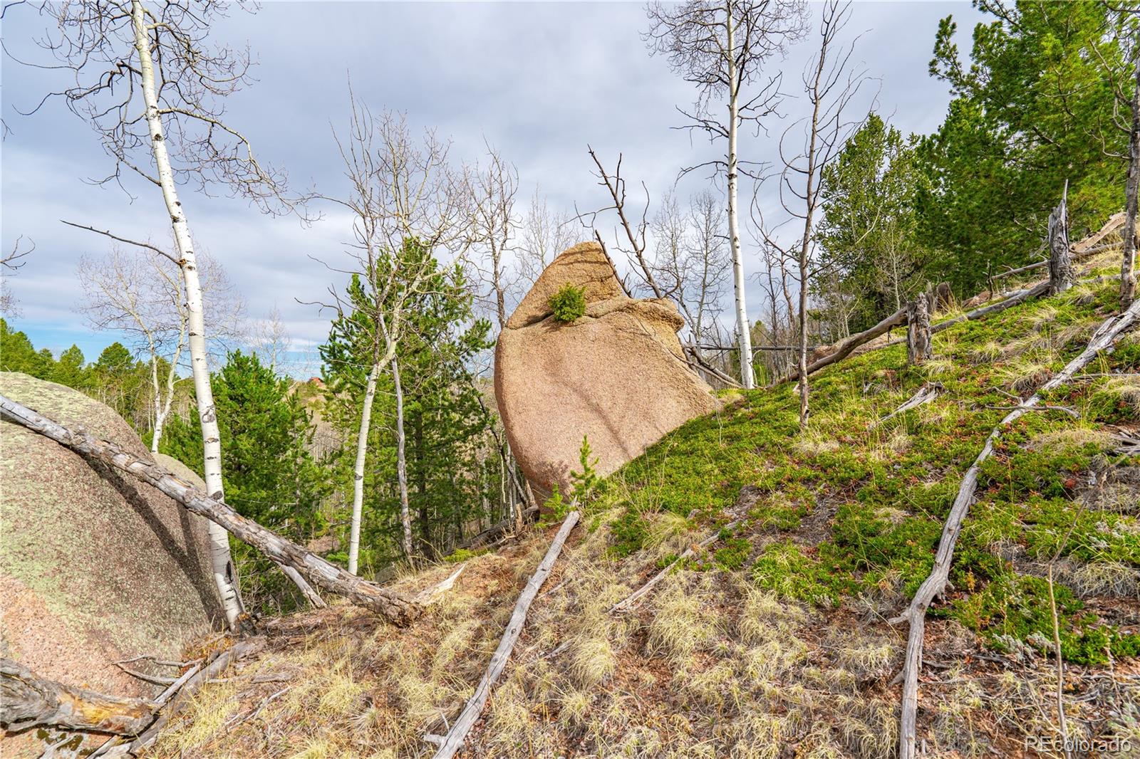 130 Grey Eagle Way Cripple Creek CO 80813