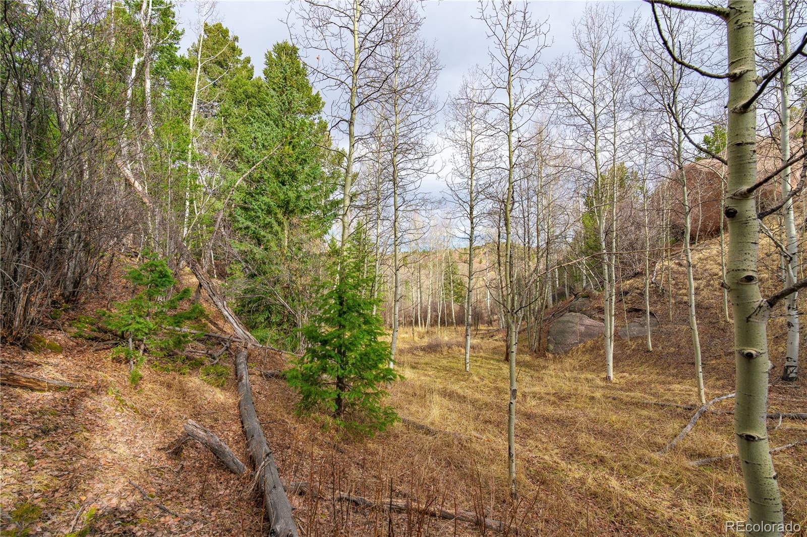 130 Grey Eagle Way Cripple Creek CO 80813