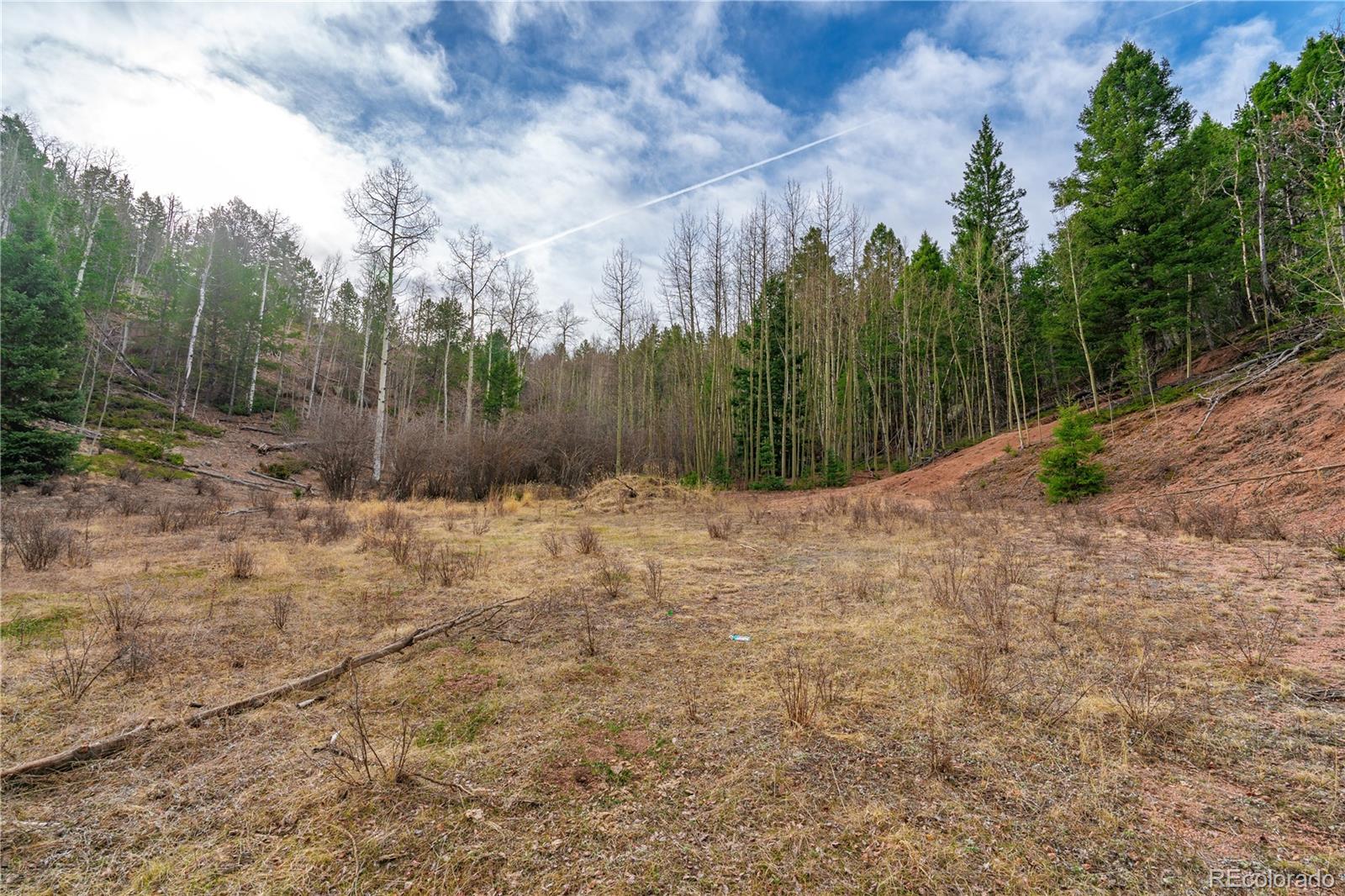 130 Grey Eagle Way Cripple Creek CO 80813